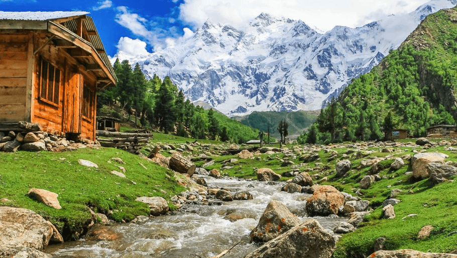 Fairy Meadows